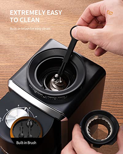 Conical Burr Coffee Bean Grinder (Black)