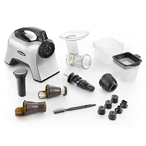 Creates Fruit Vegetable and Wheatgrass Juice Quiet Motor Slow Masticating Dual
