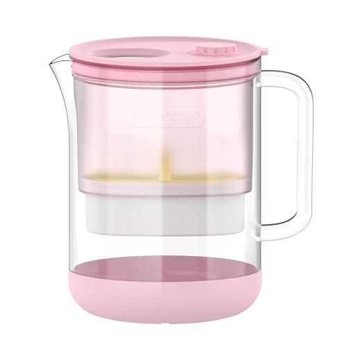 Glass Water Filter Pitcher