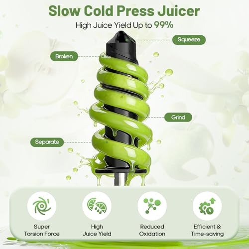 Electric juicer