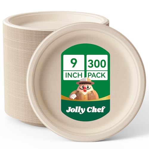 Compostable Disposable Paper Plates 9 inch
