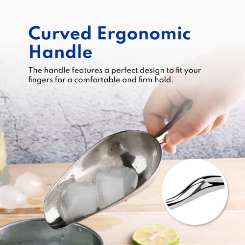 Commercial Grade Stainless Steel Utility Scoop