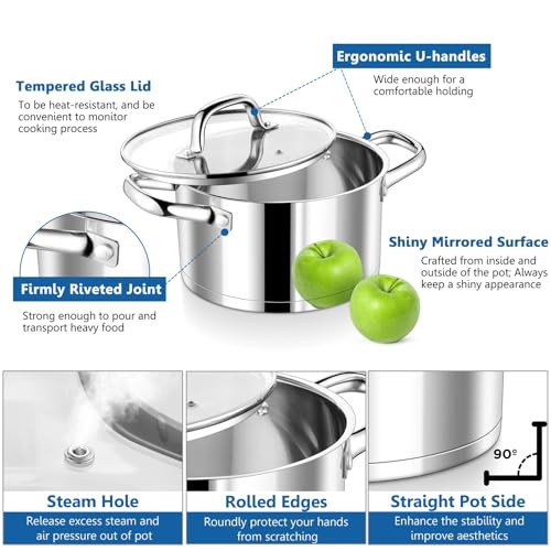 Stainless Steel Stock Pot with Lid