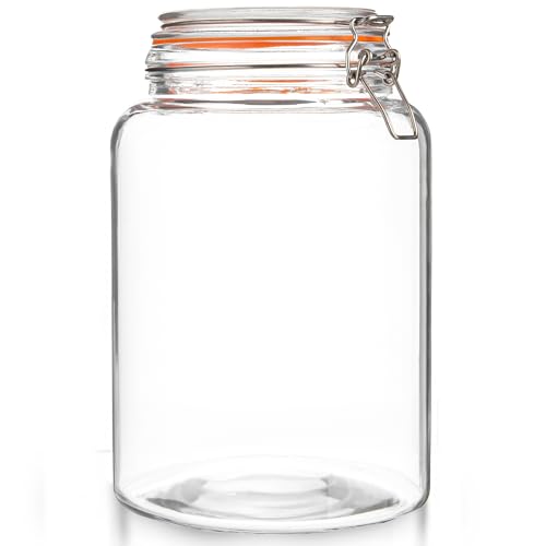 Extra Wide Mouth Gallon Glass Jar with Hinged Lids