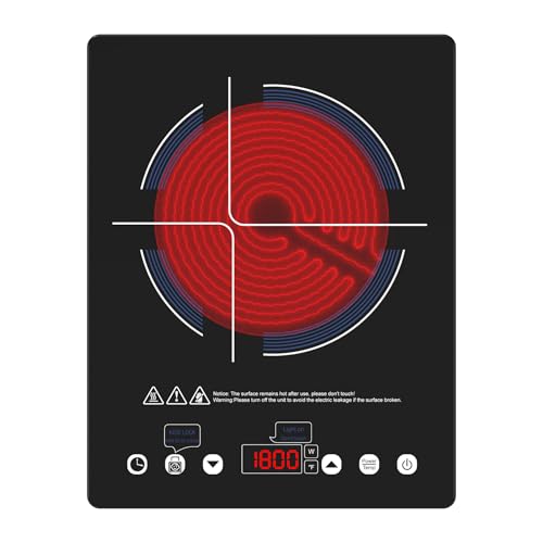 Portable Induction Cooktop 110v