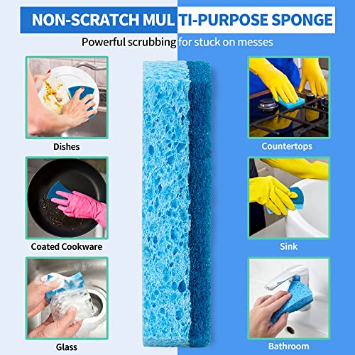 Scrub Sponges