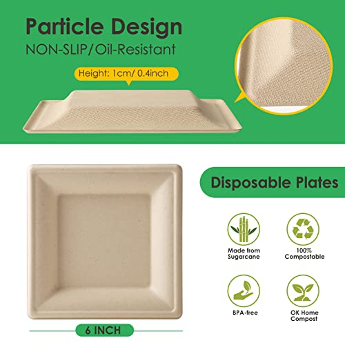 100 Pack Compostable Square Paper Plates Disposable Plate for Party