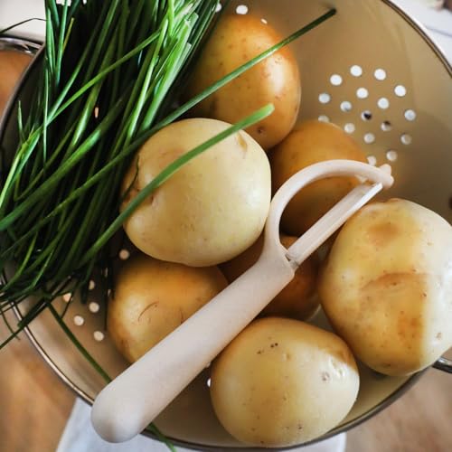 Spoons Spatula Kitchen Utensils Set High Heat Resistance Spoon Ladle Spatula