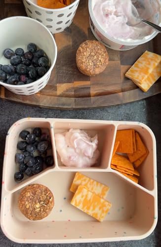 Silicone Bento Box
