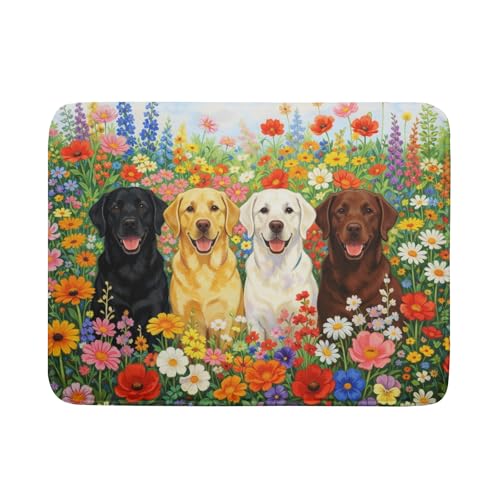 Microfiber Dish Drying Mat 2 Size Dish Drying Pad for Kitchen Counter