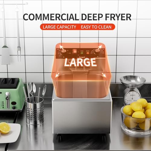 Electric Deep fryer
