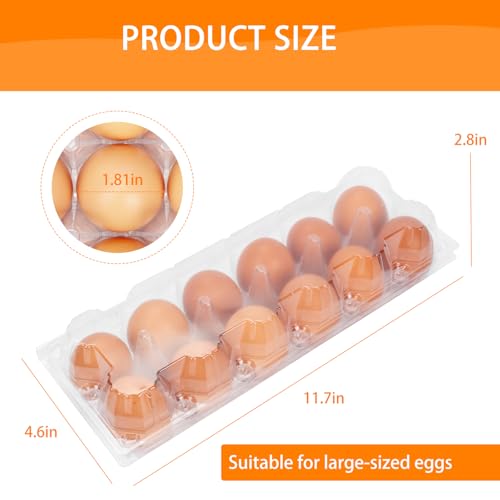 60 Pack Egg Cartons Cheap Bulk