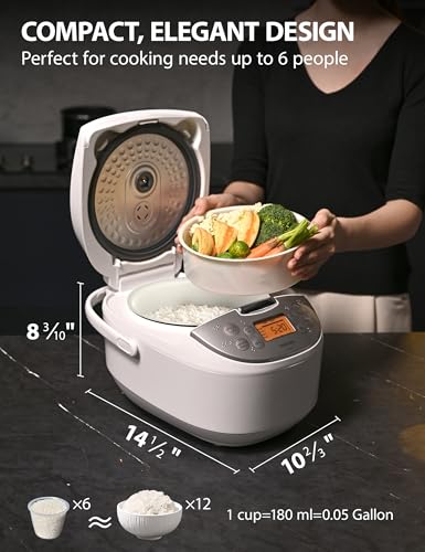 rice cooker