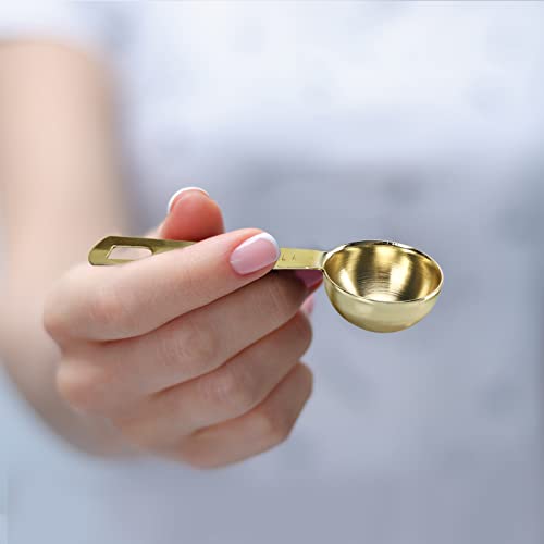 Gold Measuring Spoons (C - Gold / 6pcs)