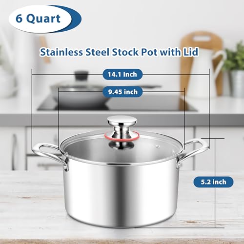Stainless Steel Stock Pot with lid