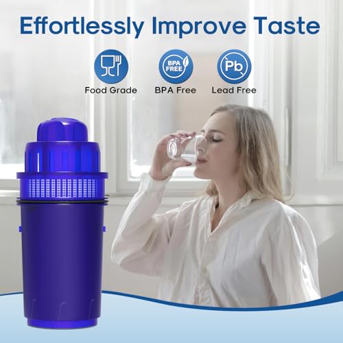 Pitcher Water Filter Replacement for Pur PPF900Z