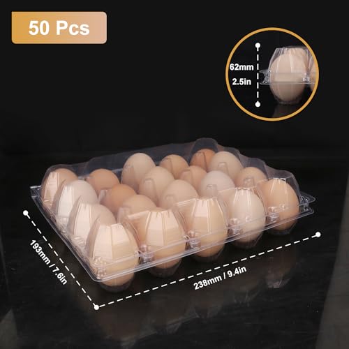 Bulk Egg Cartons