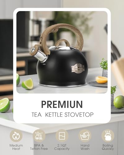 Tea Kettle Stovetop