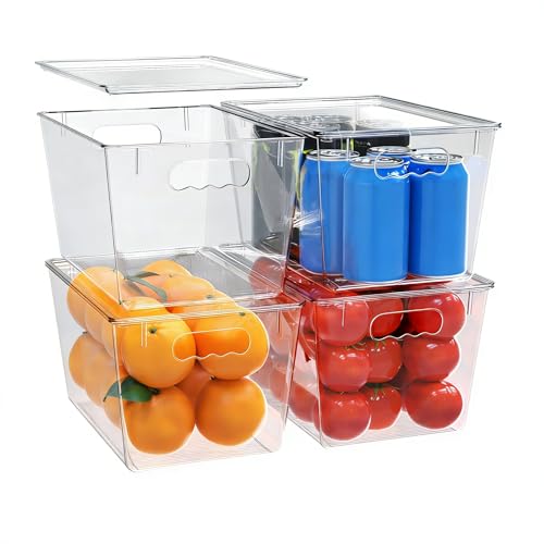 Large Clear Storage Bins with Lids