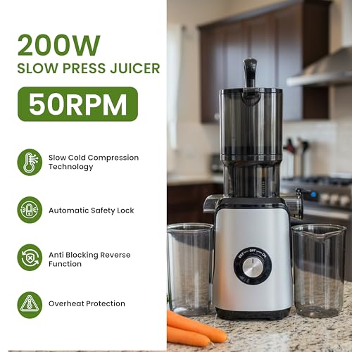Cold Press Juicer
