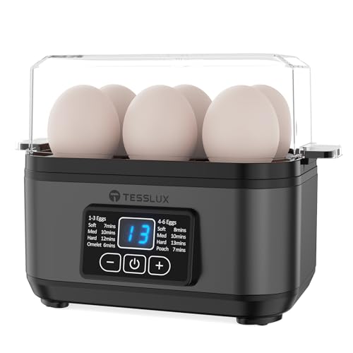 Electric Rapid Egg Cooker