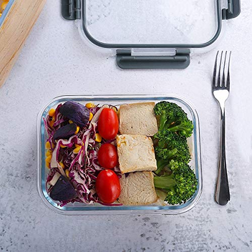 10 Pack 22 oz Glass Food Storage Containers with lids (gray)