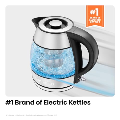 Electric Kettle with Temperature Control