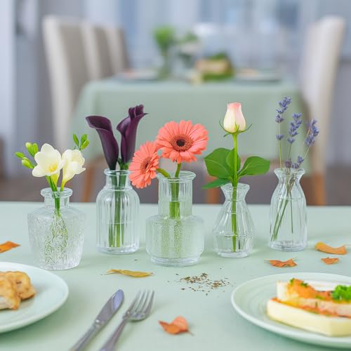 Glass Bud Vase Set