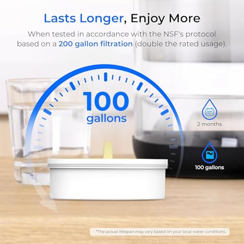 Glass Water Filter Pitcher