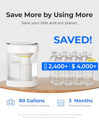 Electric Water Filter Dispenser