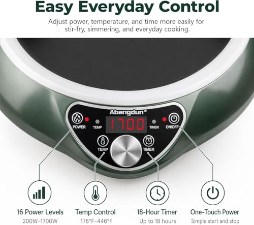 ABngdun Concave Induction Wok Cooktop