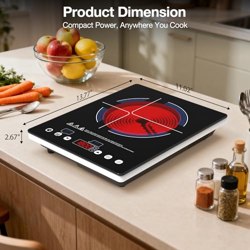 Portable Induction Cooktop 110v