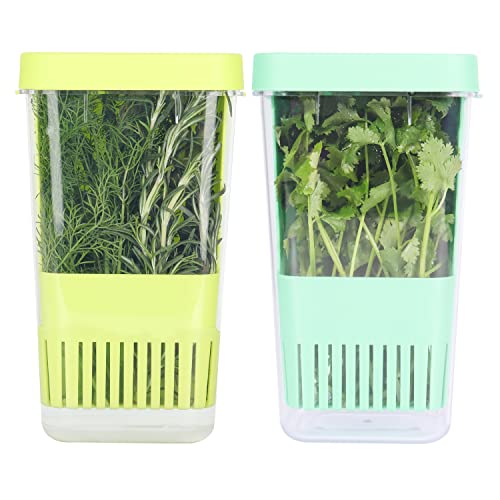 Fresh Herb Keeper for Refrigerator
