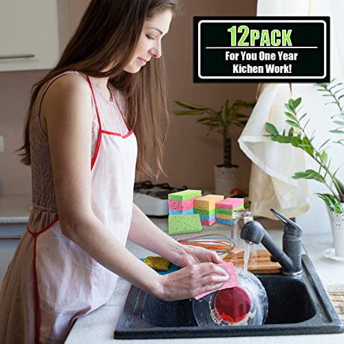Compressed Cellulose Kitchen Sponges