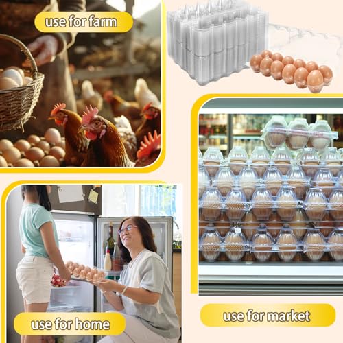 200Pcs Plastic Egg Carton Bulk Empty Clear Egg Tray Holder Container for Farm Business Market Home Kitchen Refrigerator Storage