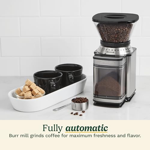 Electric Burr Coffee Grinder (Burr Mill / Stainless Steel)