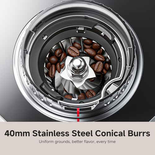 Conical Burr Coffee Grinder (Metallic Silver)