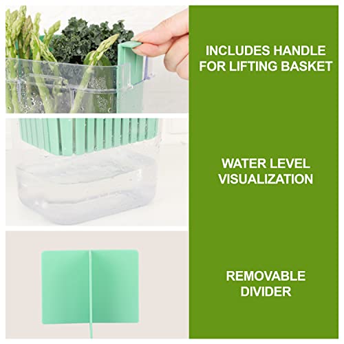 Fresh Herb Keeper for Refrigerator