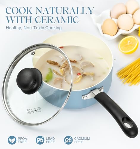 Nonstick Sauce Pan