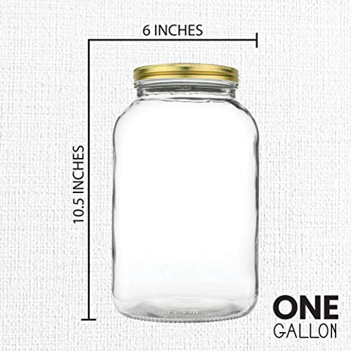 Glass Mason Jar Wide Mouth with Airtight Metal Lid