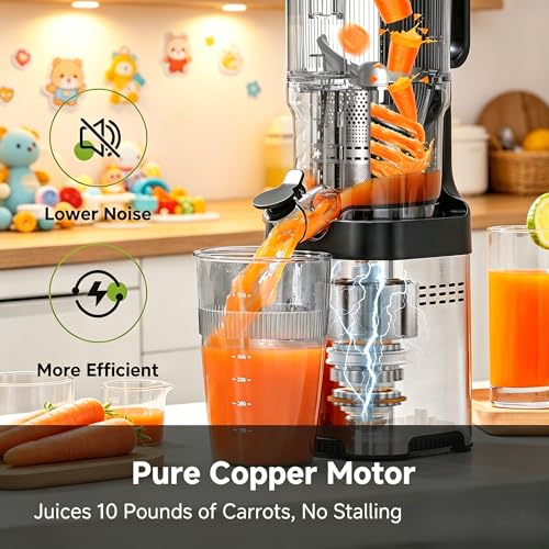 Cold Press Juicer