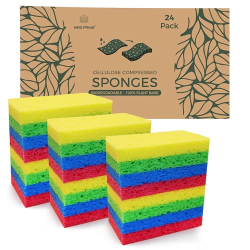 Cellulose Sponges