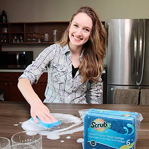 Non Scratch Cleaning Scrub Sponges