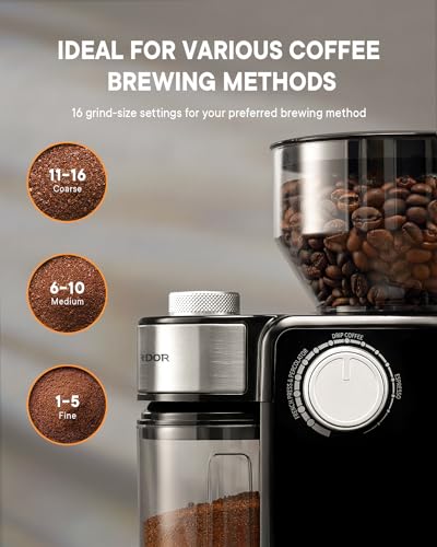 Electric Burr Coffee Grinder 2.0 (Glossy Black)