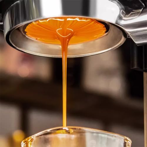 Manual Pneumatic Espresso Maker with Pressure Gauge and Adjustable Fast