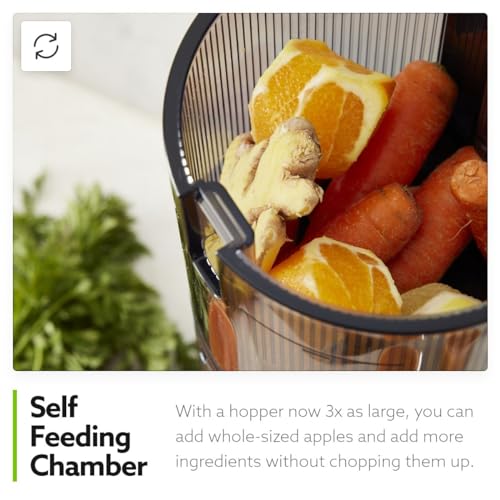 H320 Slow Juicer