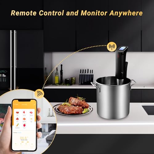 NKBIRD WIFI Sous Vide Cooker ISV