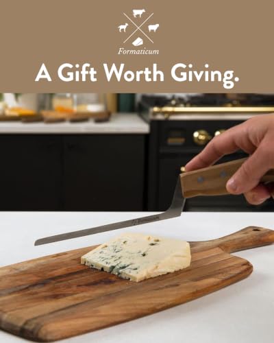 Professional Cheese Knife