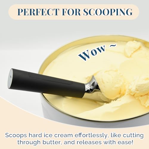 Heated Ice Cream Scoop Rechargeable