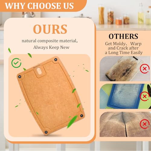 2PC Cutting Boards for Kitchen Dishwasher Safe Eco (2 Pack: Medium + Small)